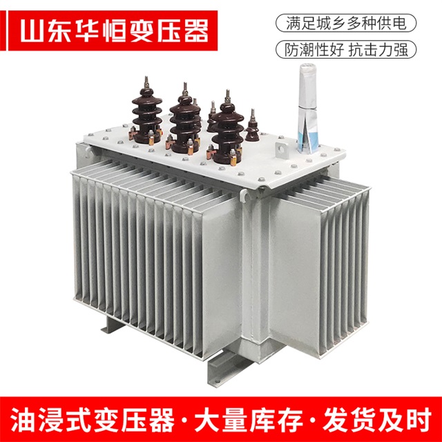 S13-10000/35振兴振兴振兴油浸式变压器厂家