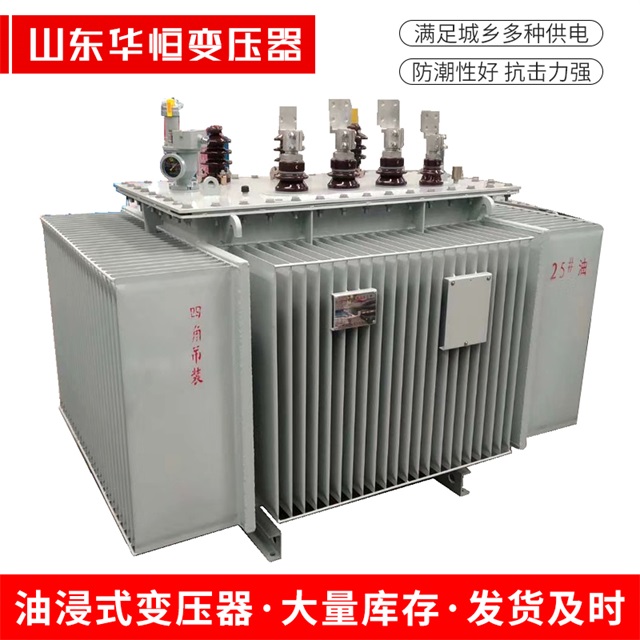 S13-10000/35振兴振兴振兴电力变压器厂家