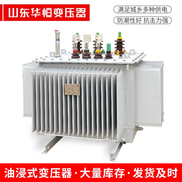 S13-10000/35振兴振兴振兴电力变压器